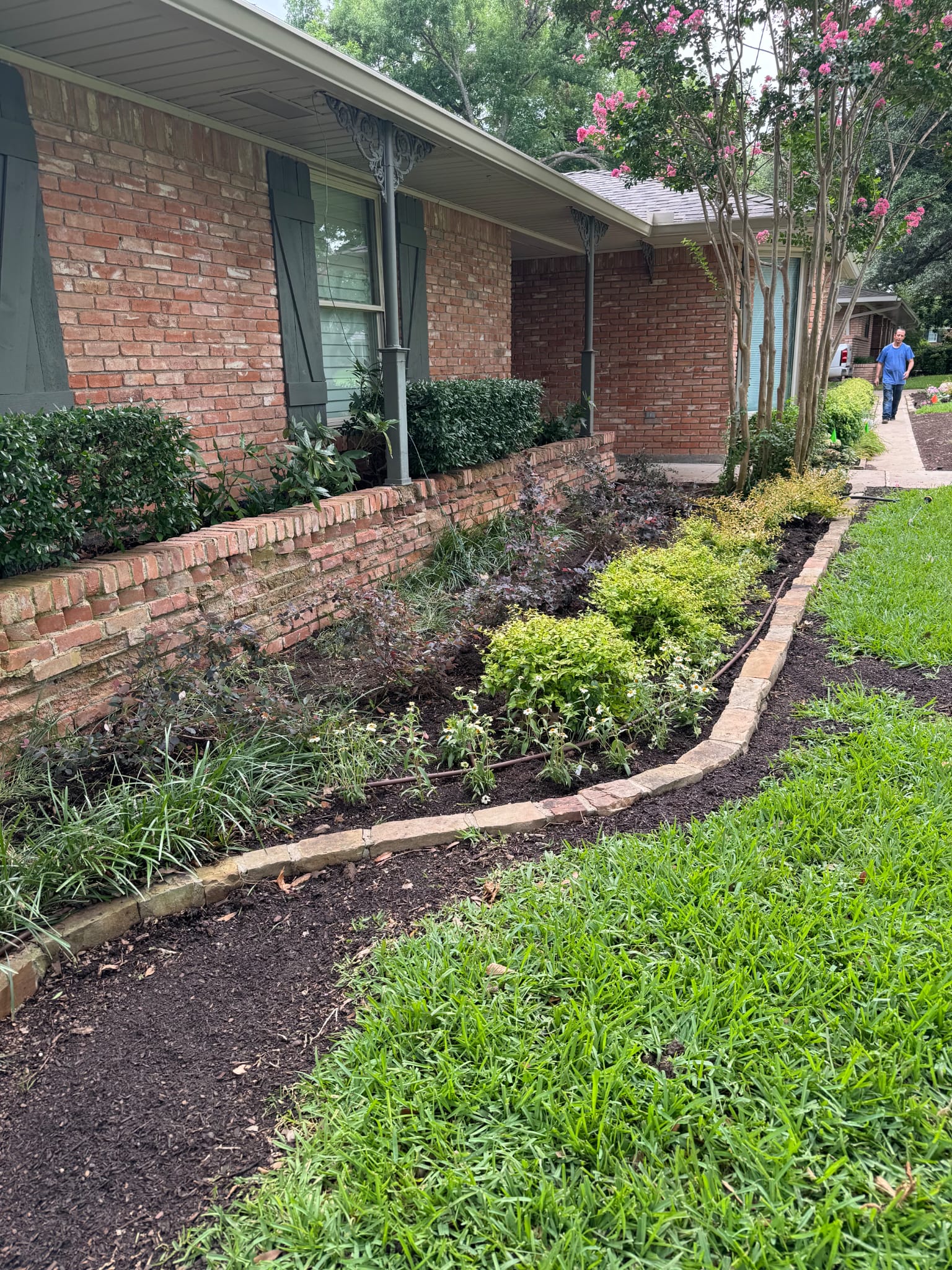 Professional bed edging and garden planting service near Plano TX