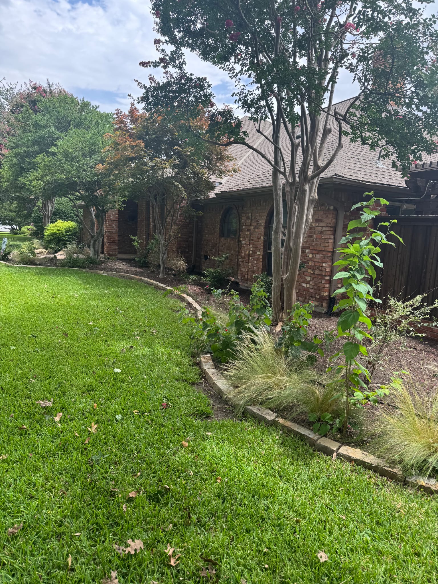 Curved landscape design with ornamental grasses by landscaper in Plano DFW