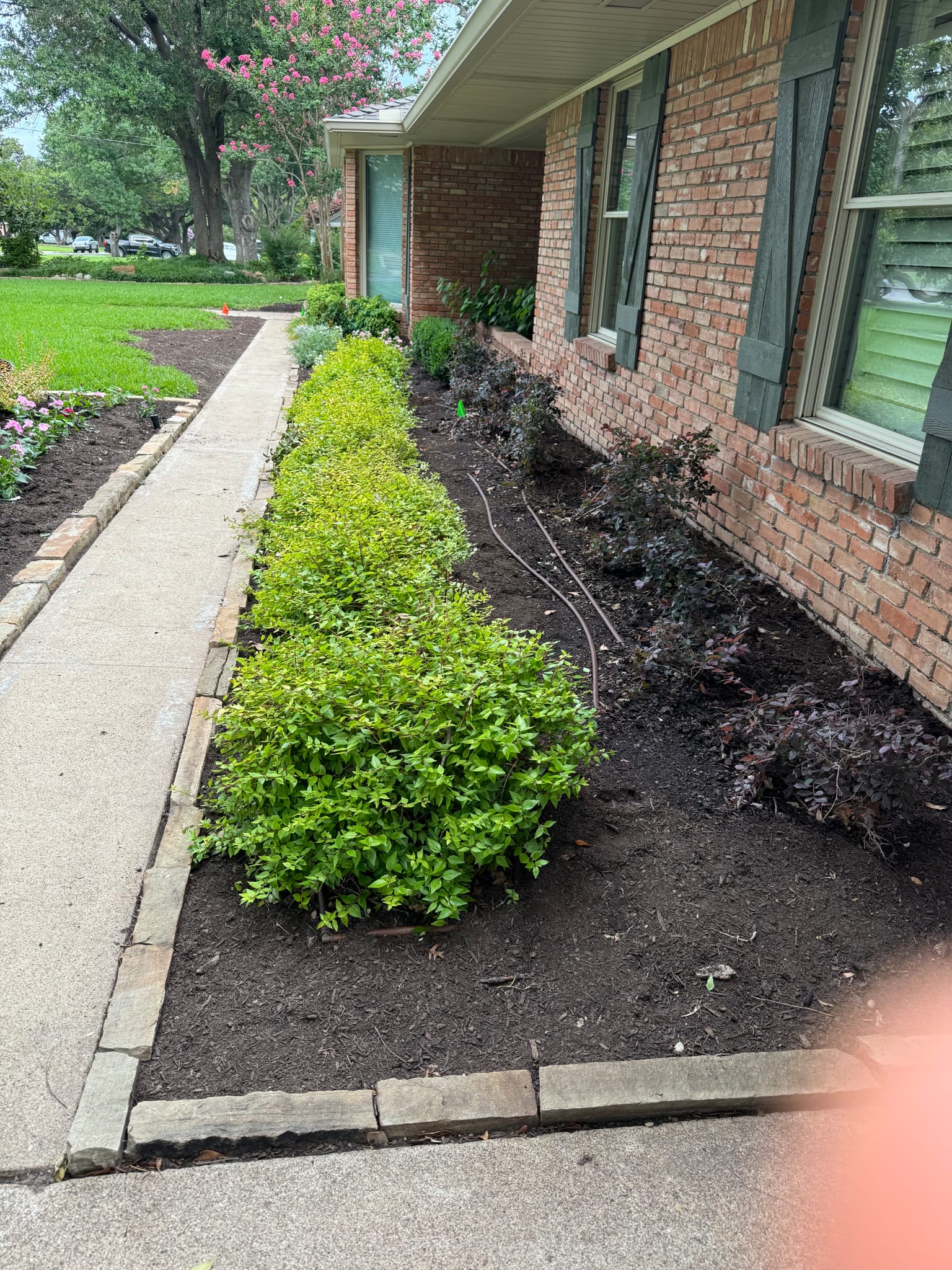 Front yard flower bed installation and mulching service in Plano Texas