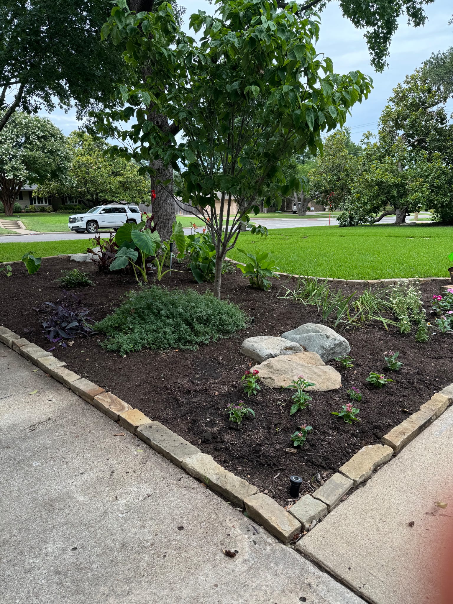Custom landscape design with rocks and native Texas plants in Dallas TX