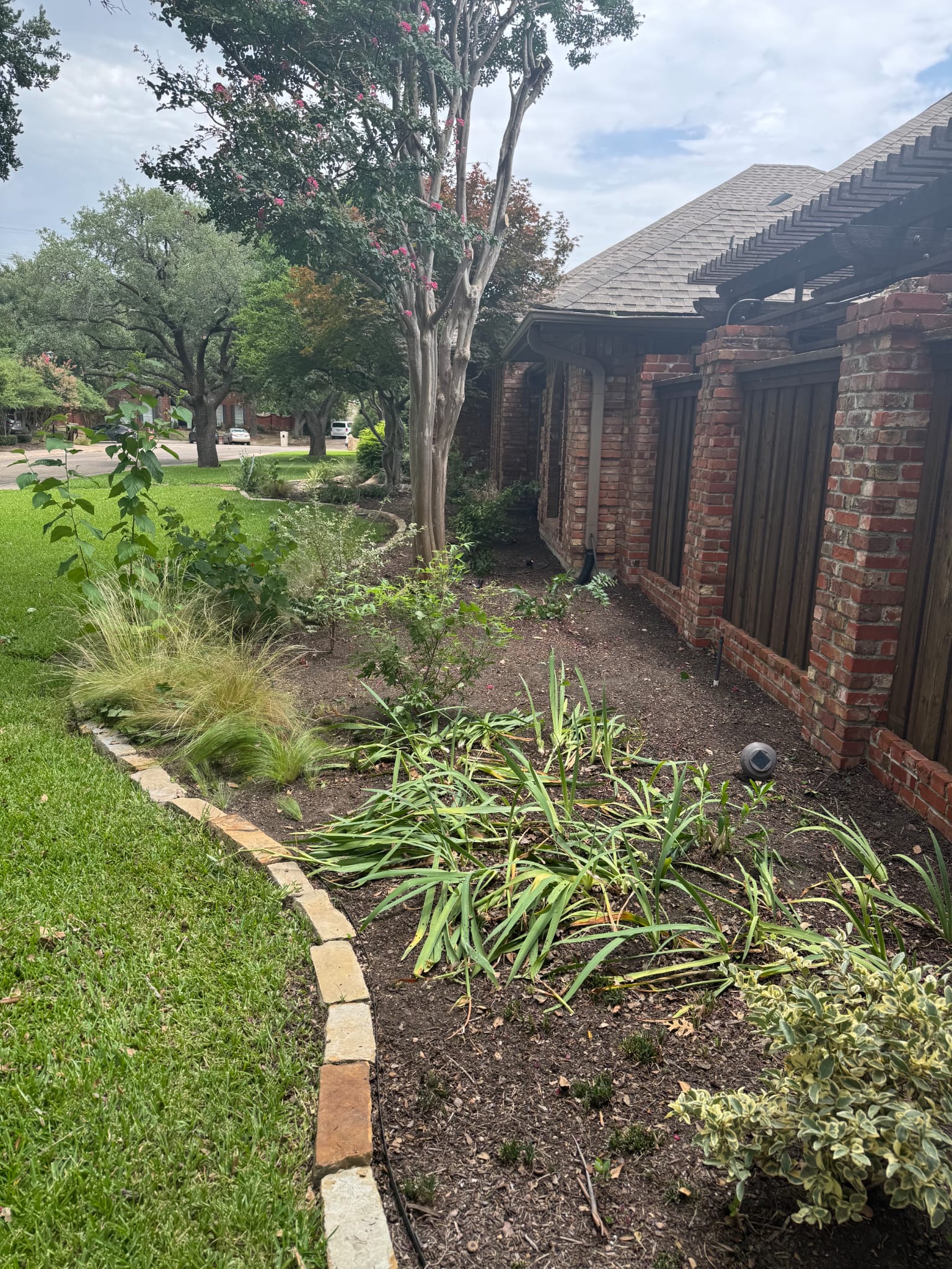 Side yard landscape planting and design in Dallas Plano area