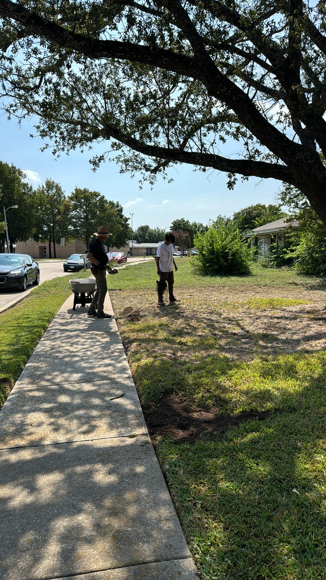 Professional landscaping crew at work on residential property in Plano Dallas TX